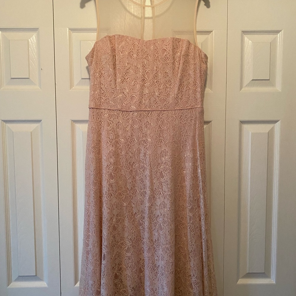 Maggy London Blush Lace Midi Dress